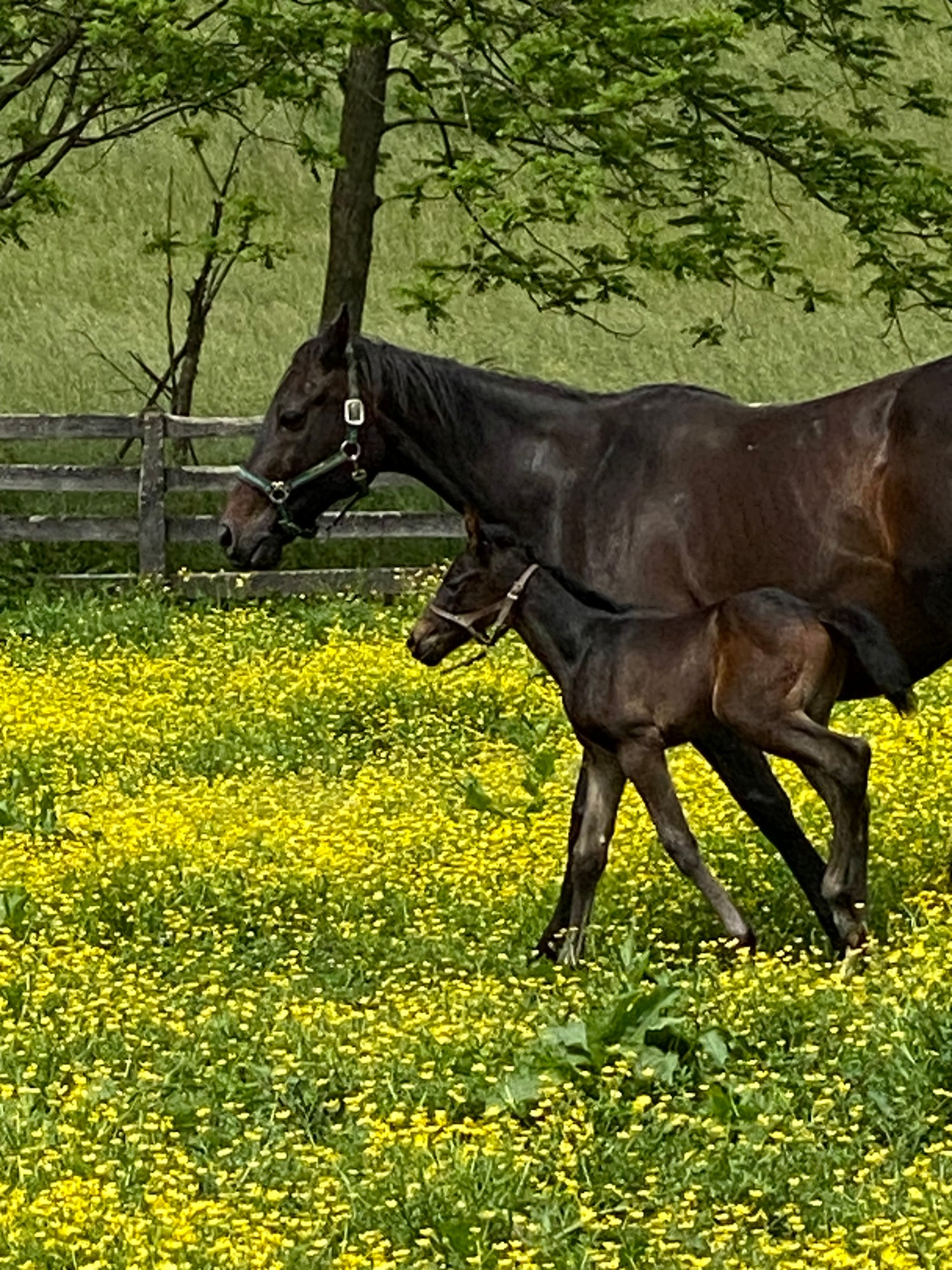 Courses for Owners